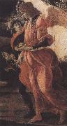 Sandro Botticelli Trinity with Mary Magdalene,St john the Baptist,Tobias  and the Angel (mk36) Sweden oil painting artist